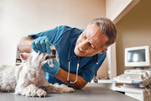 Best Emergency Dental Surgery in Plainwell, MI